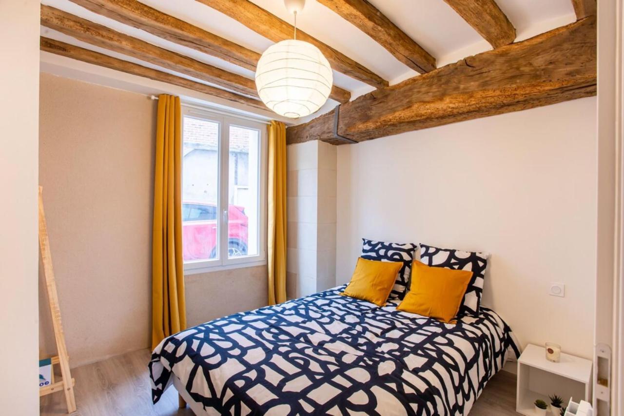 "Le Vinci" Chateaux, Loire & Centre-Ville アンボワーズ エクステリア 写真