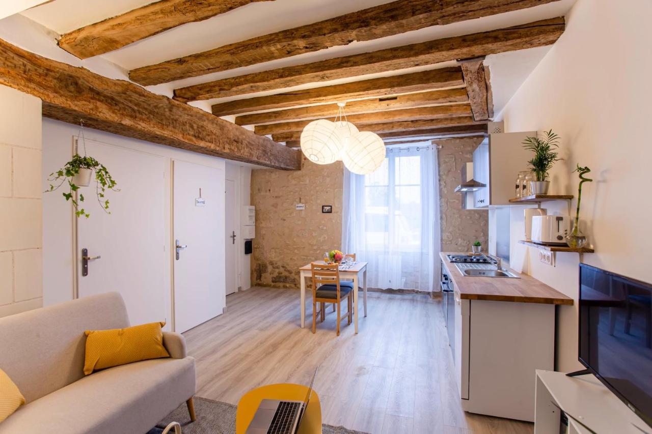 "Le Vinci" Chateaux, Loire & Centre-Ville アンボワーズ エクステリア 写真